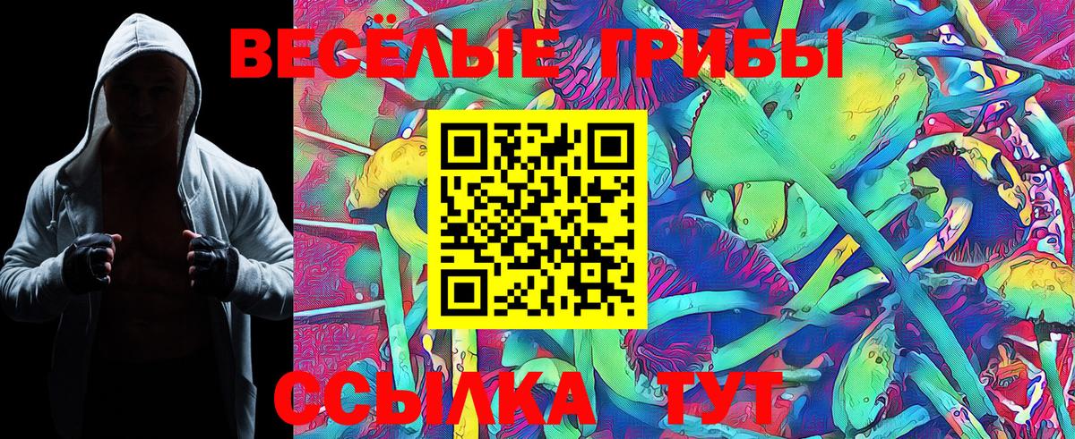 Галлюциногенные грибы Magic Shrooms Старая Купавна